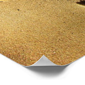 愛の足跡 ポスター (角)