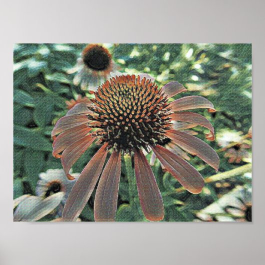 愛の開花 ポスター (正面)