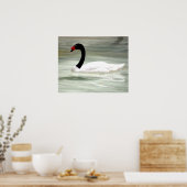 愛の鳥の白鳥と黒鳥 ポスター (キッチン)