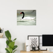 愛の鳥の白鳥と黒鳥 ポスター (ホームオフィス)