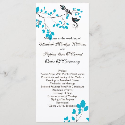 愛の鳥ブルー プログラム (正面)