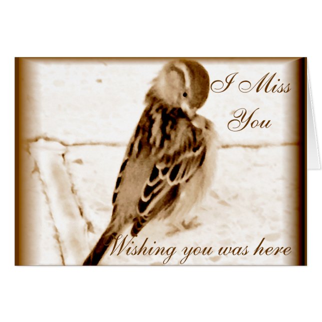 愛の鳥 (正面横)