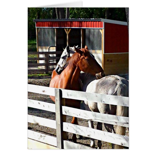 愛の2頭の馬 (正面)