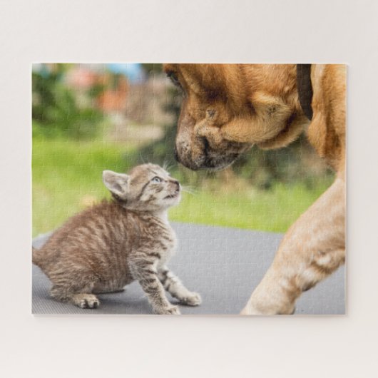 愛のGettyのイメージ|犬及び猫 ジグソーパズル (横)