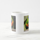 愛のLorikeets コーヒーマグカップ (中央)
