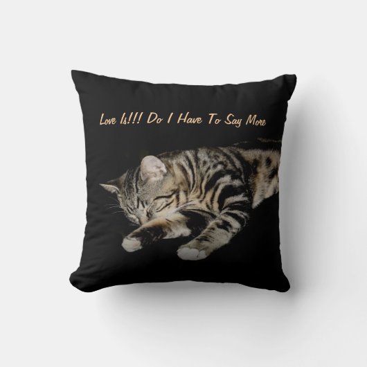 愛はあります。子猫の菓子 クッション (正面)