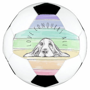 愛はすべてを征服する 犬 虹 バセットハウンド サッカーボール