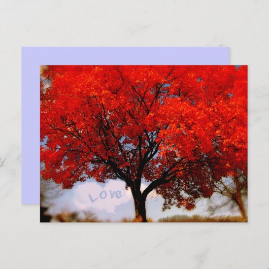愛はエアレッド秋ツリー ポストカード (正面/裏面)