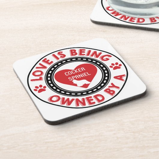 愛はコッカースパニエル犬が所有している コースター (左側)