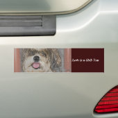 愛はシーズー(犬) TzUです バンパーステッカー (車上)