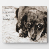 愛はダシュント人に所有されている フォトプラーク (正面)