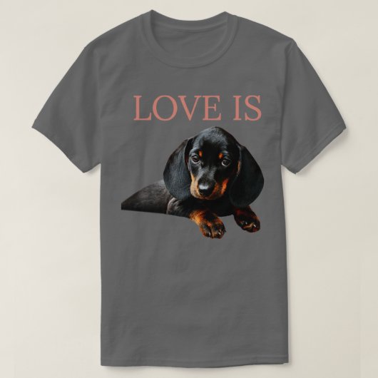 愛はダシュント犬1 Tシャツ (デザイン正面)