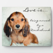 愛はダシュント・ピクセルによって所有されている フォトプラーク (正面)