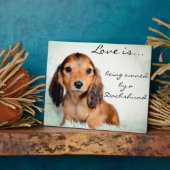 愛はダシュント・ピクセルによって所有されている フォトプラーク (側面)