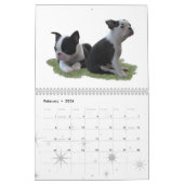 愛はボストンです カレンダー (2月 2026)