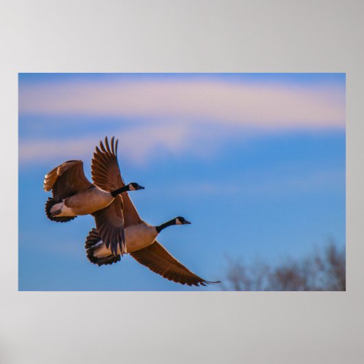 愛は一緒に存在する ポスター (正面)