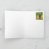 "愛は出血している" （アマランサスCAUDACUS）植物) カード (内部)