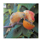 愛は分かち合っている:黄色のターコイシンのインパスケット タイル (正面)