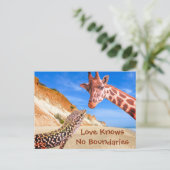 愛は動物のフォトモンタージュの境界おもしろいを知らない ポストカード (スタンド正面)