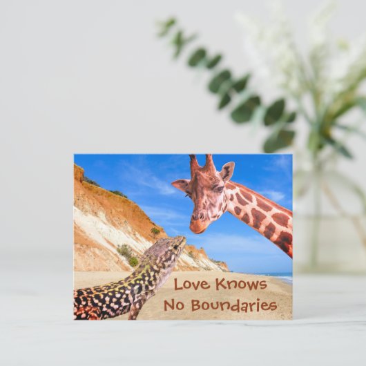 愛は動物のフォトモンタージュの境界おもしろいを知らない ポストカード (スタンド正面)