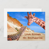 愛は動物のフォトモンタージュの境界おもしろいを知らない ポストカード (正面/裏面)