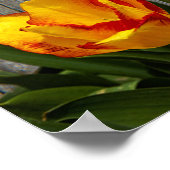 愛は忍耐強い ポスター (角)