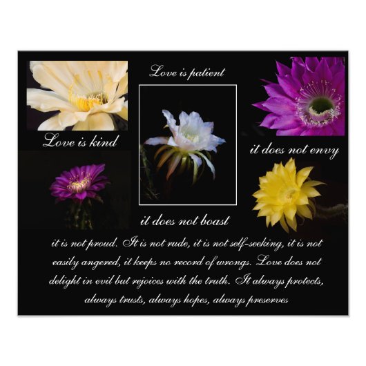 愛は忍耐強く、愛は親切サボテンの花スタイル フォトプリント (正面)