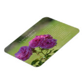 愛は患者のバラ マグネット (左側)