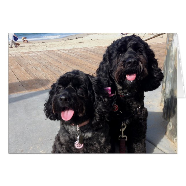 愛は永久に梳きます (正面横)