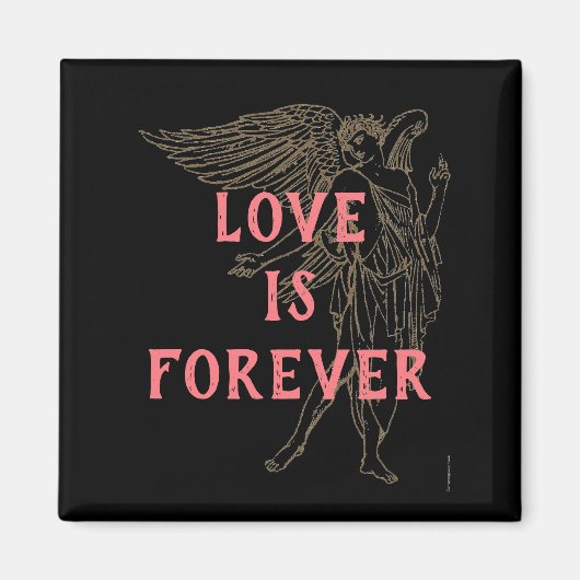 愛は永遠の磁石 マグネット (正面)