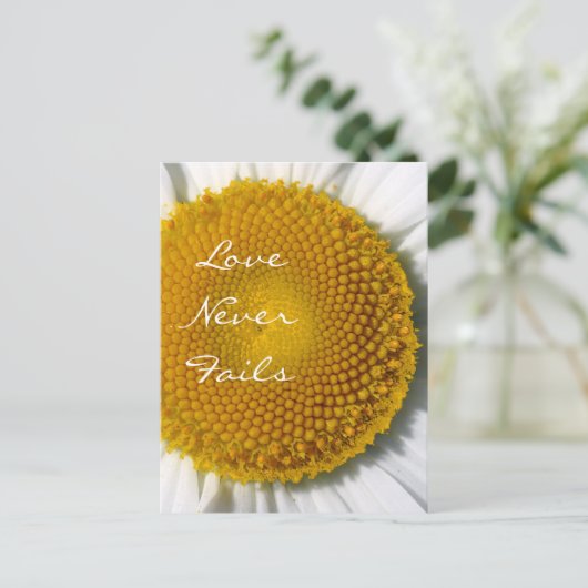 愛は決して失敗しないデイジー1コリント13 ポストカード (スタンド正面)