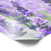 愛は決して失敗しないバイブル聖句引用文ラベンダーフラワー フォトプリント            (角)