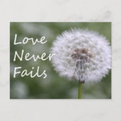 愛は決して失敗しないDandelion1コリント13 ポストカード (正面)