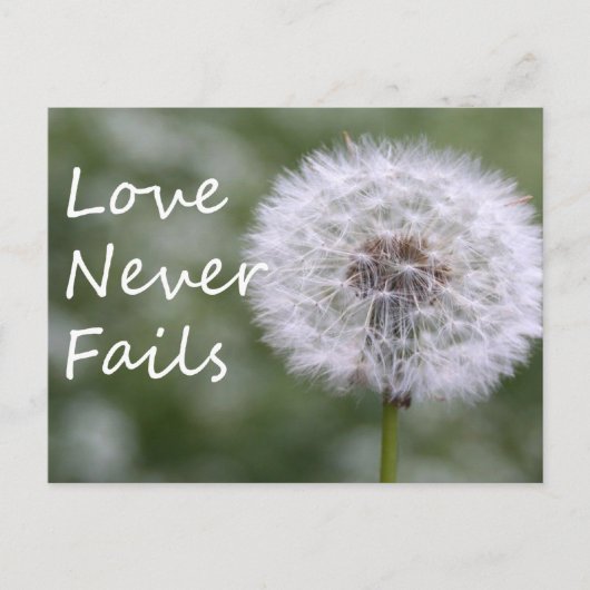 愛は決して失敗しないDandelion1コリント13 ポストカード (正面)