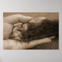 愛は無条件である