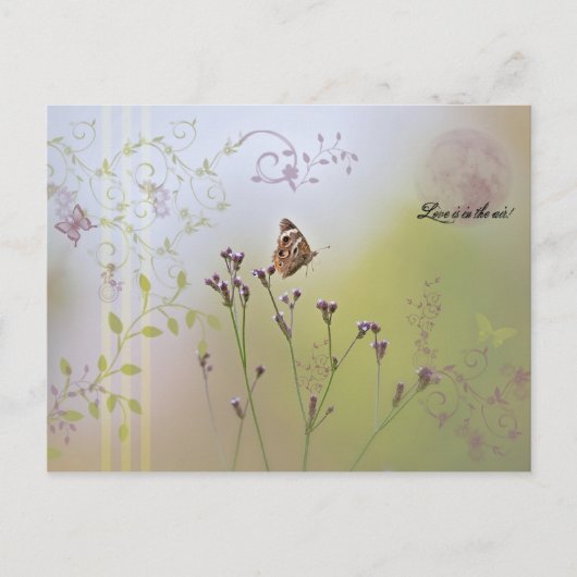 愛は空中にある！ポストカード 案内ポストカード (正面)