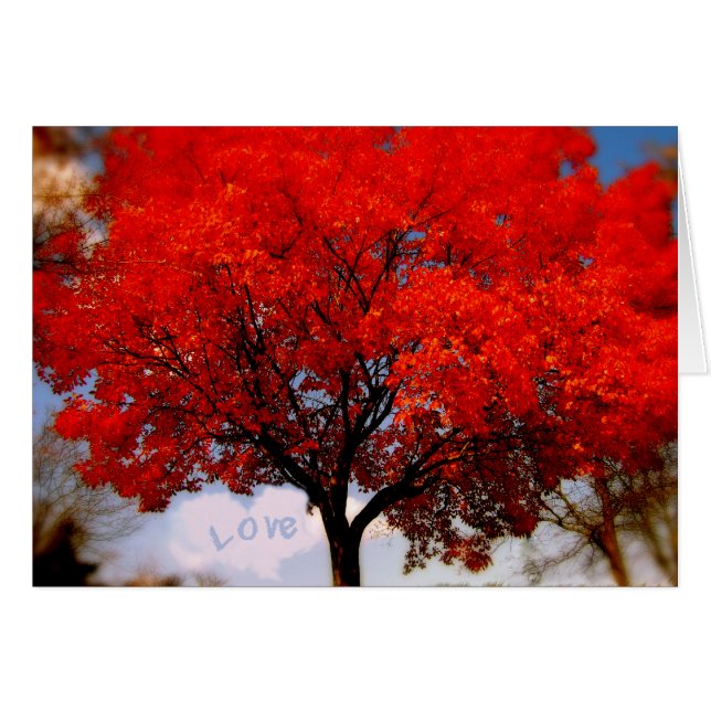 愛は空気の中にある… (正面横)