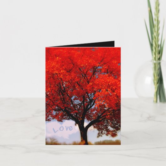 愛は空気の中にある… サンキューカード (正面)