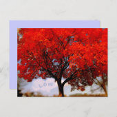 愛は空気中にある 赤い秋の木 ポストカード (正面/裏面)