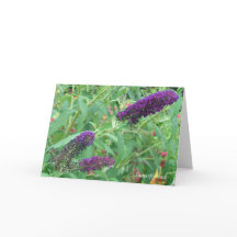 愛は蝶の引用文グリーティングカード