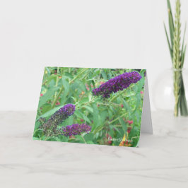 愛は蝶の引用文グリーティングカード カード