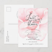 愛は開花にあシンプルり、モダンブライダルシャワー インビテーションポストカード (正面/裏面)