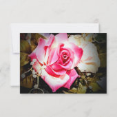 愛は開花写真/バラ結婚の 出欠カード (裏面)