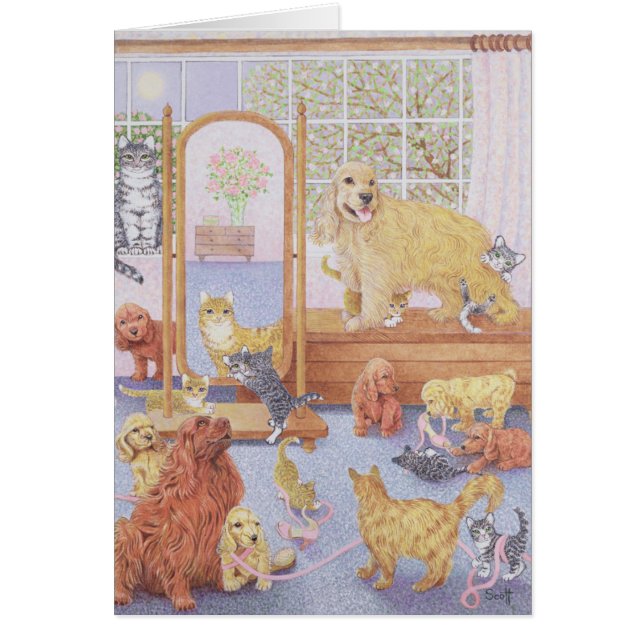 愛は限界を知っていません (正面)