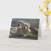 愛は黄金 カード (黄色い花)