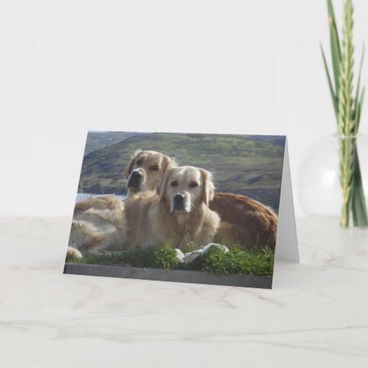 愛は黄金 カード (正面)