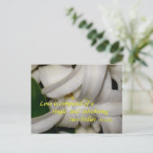 愛は ポストカード (スタンド正面)