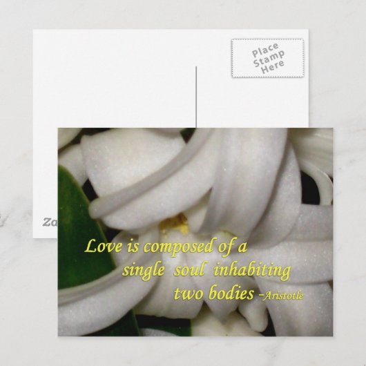 愛は ポストカード (正面/裏面)