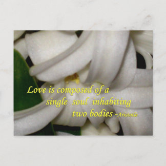 愛は ポストカード