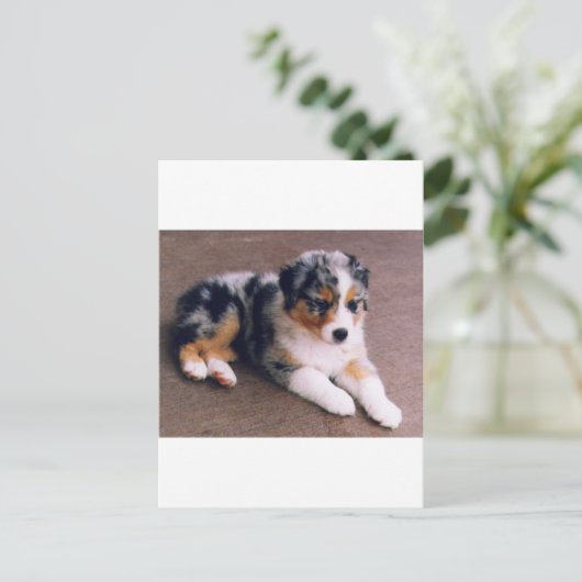 愛は,,, ポストカード (スタンド正面)